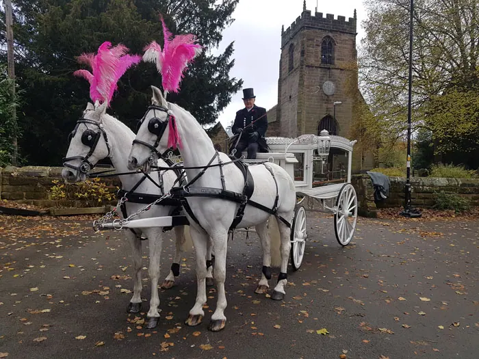 white horse drawn hearse as supplied by Sincerity Funerals Funeral Directors Wolverhampton